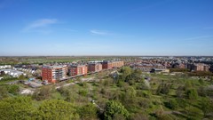 Foto (10).jpg