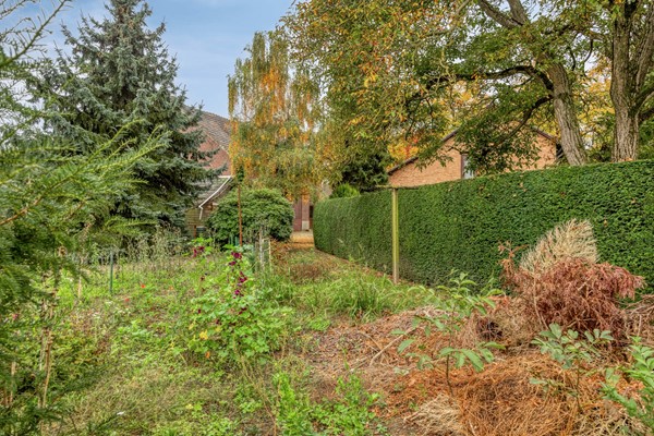 Medium property photo - Bergerweg 36A, 6063 BS Vlodrop