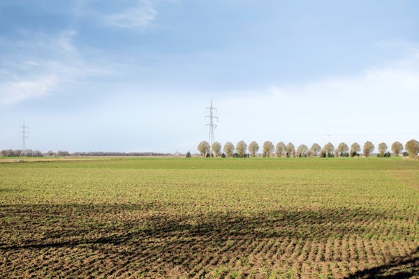 Medium property photo - De Eerensplein 11, 6063 CH Vlodrop