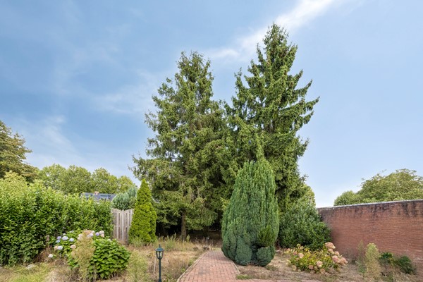 Medium property photo - Dr.Biermansstraat 6, 6075 AS Herkenbosch