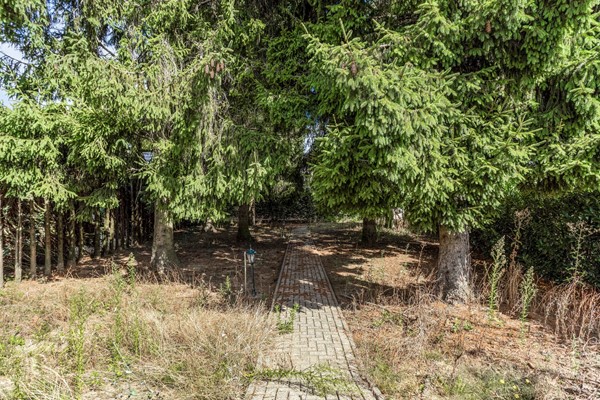 Medium property photo - Dr.Biermansstraat 6, 6075 AS Herkenbosch