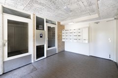 2.narcisplantsoen4-035.jpg