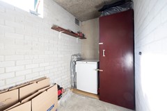 23.narcisplantsoen4-001.jpg