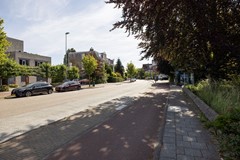 24.narcisplantsoen4-037.jpg