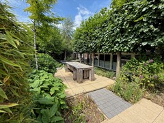 IMG_1885.JPEG