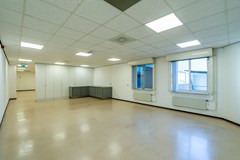 DSC07425.jpg