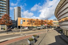 Kleine Beer 19 foto's-3.jpg