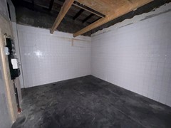 IMG_3035.JPG