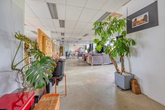Teilingerstraat1263032AWRotterdamNL-07.jpg