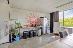 Teilingerstraat1263032AWRotterdamNL-13.jpg