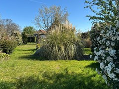 405Groede Nieuwstraat 20 voorjaarsfoto's (8).jpg