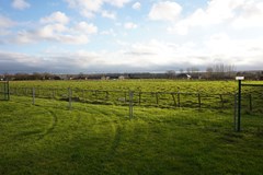 407Eede Schoolstraat 6 (23).JPG