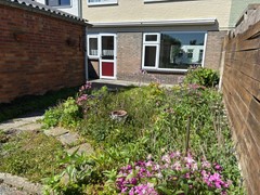 603 Groede Schuitvlotstraat 15C Voorjaarsfotos (3).jpg