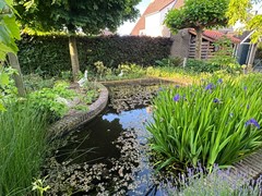 404Philippine Schans 10 voorjaarsfotos (2).jpg