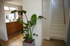 120Nieuwvliet Cadzandseweg 49 (61).JPG