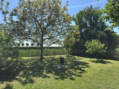 409aNieuwvliet Cadzandsewewg 49.jpeg