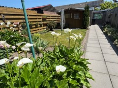 403Aardenburg Vermerestraat 11 nieuwe buitenfoto's (8).jpeg