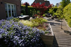 405Oostburg Boogschutter 12 (32).JPG