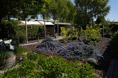 411Oostburg Boogschutter 12 (19).JPG