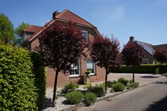 603Oostburg Boogschutter 12 (3).JPG