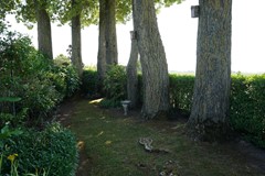 409Ijzendijke Krommeweg 8 (44).JPG