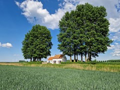 505Ijzendijke Krommeweg 8 (66).jpg