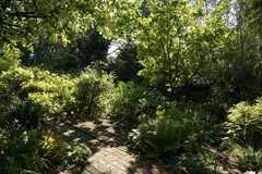 407Schoondijke Klitteweg 6 (10).JPG