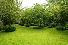 411Schoondijke Klittenweg 6 (102).JPG