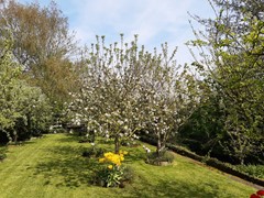 413Schoondijke Klittenweg 6.jpg