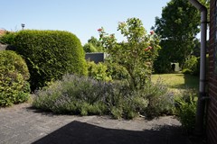 402Zuidzande Mariastraat 18 (25).JPG