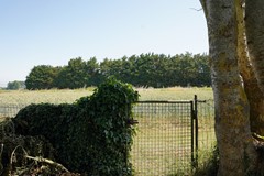 406Zuidzande Mariastraat 18 (32).JPG