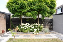 404Schoondijke Damstraat 4  (39).JPG