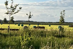 505eigen foto's eigenaar (72).jpg