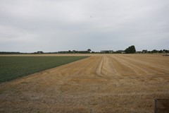 306Nieuwvliet Ter Moere 4 (29).JPG