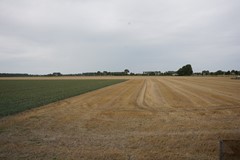 306Nieuwvliet Ter Moere 4 (29).JPG