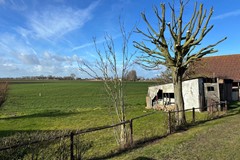 505WhatsApp Image 2026-02-16 at 15.22.19 (2).jpeg