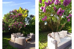 406combifoto tuin.jpg