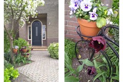 501combifoto voortuin.jpg