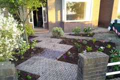 503Foto's E (2).jpeg