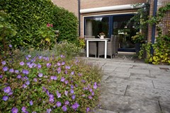 407Oostburg Regulus 8 (24).JPG