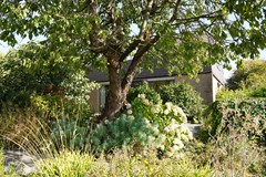 411Aardenburg Landstraat 2.JPG