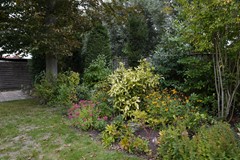 406Biervliet Hugevlietstraat 12 (7).JPG