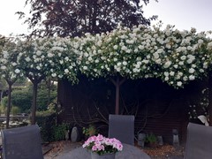 412Aardenburg Eedeweg 22.jpg