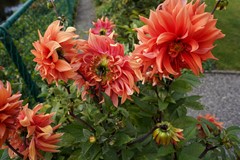 406aOostburg KWL park 38 (15).JPG