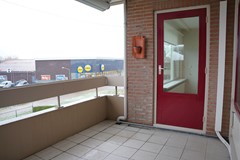 304Oostburg Grote Beer 8-029 (35).JPG