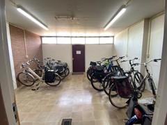 604Fotó's algemeen (3).jpeg