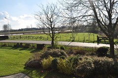 704Oostburg Grote Beer 8 (3).jpg