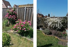 411Oostburg Poolster 119 (73).JPG