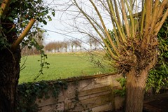 407IJzendijke Oranjedijk 25 (64).JPG