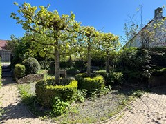 504IJzendijke Oranjedijk 25 nieuwe buitenfoto's (16).JPEG